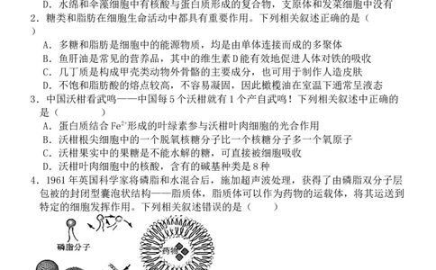 2025级高一10月考题_2025年10月高一试卷_251026河北省保定市唐县第一中学2025-2026学年高一上学期10月月考（全）