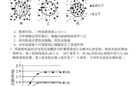 2025级高一10月考题_2025年10月高一试卷_251026河北省保定市唐县第一中学2025-2026学年高一上学期10月月考（全）