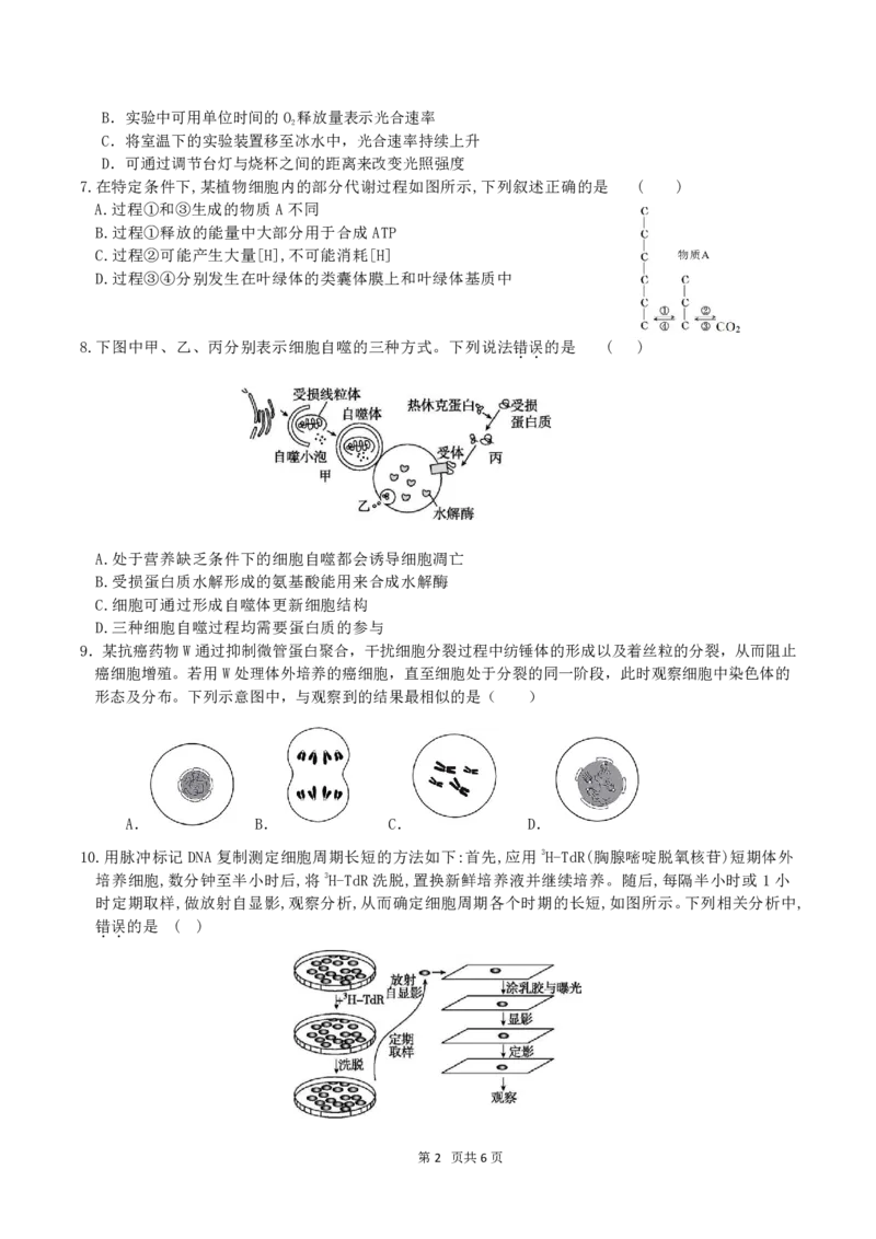 4月质量检测高一生物学科试卷（选考）_2026年04月高一试卷_260421浙江省余姚中学2025-2026学年高一下学期4月质量检测试题