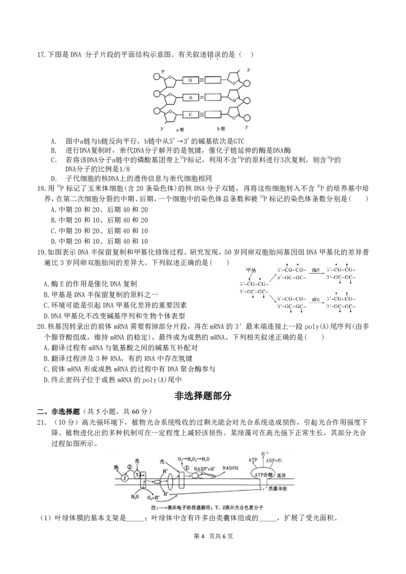 4月质量检测高一生物学科试卷（选考）_2026年04月高一试卷_260421浙江省余姚中学2025-2026学年高一下学期4月质量检测试题