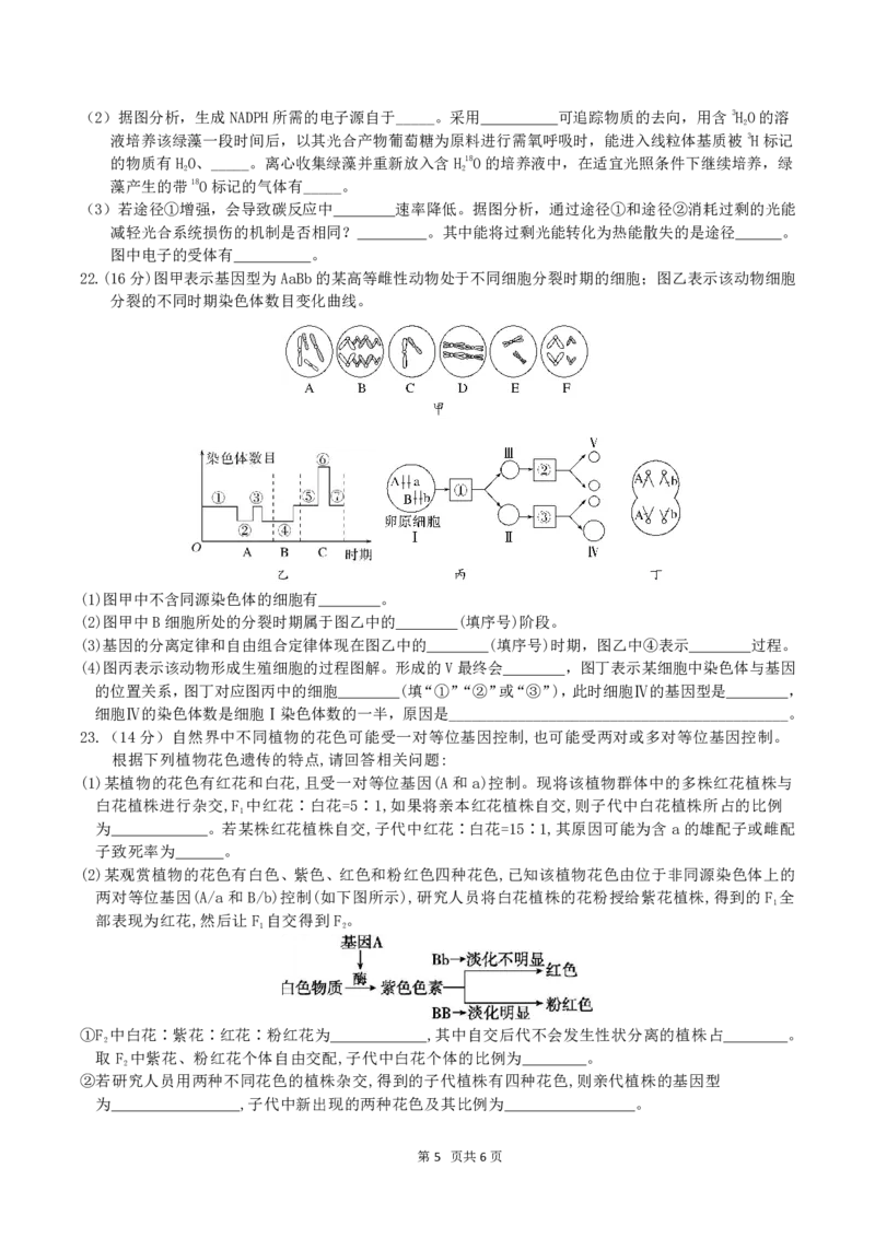 4月质量检测高一生物学科试卷（选考）_2026年04月高一试卷_260421浙江省余姚中学2025-2026学年高一下学期4月质量检测试题