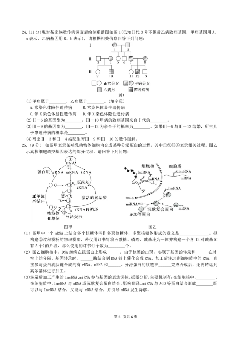 4月质量检测高一生物学科试卷（选考）_2026年04月高一试卷_260421浙江省余姚中学2025-2026学年高一下学期4月质量检测试题