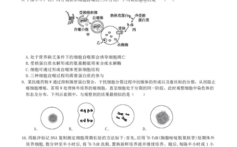 4月质量检测高一生物学科试卷（选考）_2026年04月高一试卷_260421浙江省余姚中学2025-2026学年高一下学期4月质量检测试题