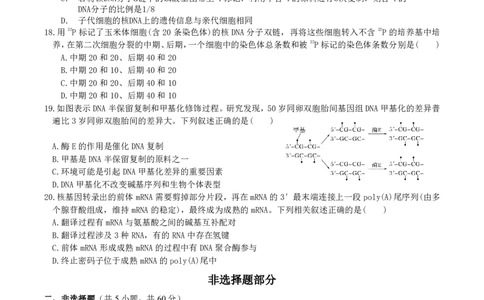 4月质量检测高一生物学科试卷（选考）_2026年04月高一试卷_260421浙江省余姚中学2025-2026学年高一下学期4月质量检测试题