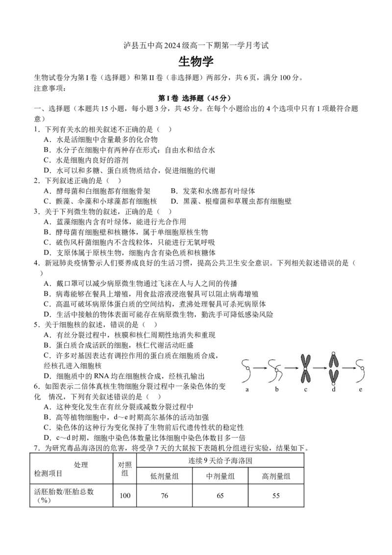 2025年春期泸县五中高2024级第一学月考试生物试题_2025年04月试卷_0408四川省泸州市泸县第五中学2024-2025学年高一下学期3月月考