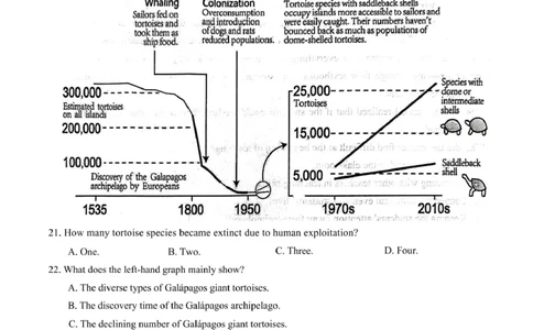 2025年秋季高一年级期中考试英语试卷_2025年12月高一试卷_251209湖北省鄂东南省级示范高中教育教学改革联盟2025-2026学年高一上学期期中考试