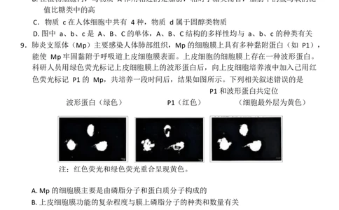 2024年秋期高中一年级期终质量评估生物试卷_2025年02月试卷_0221河南省南阳市2024-2025学年高一上学期1月期末考试_河南省南阳市2024-2025学年高一上学期1月期末考试生物Word版含答案