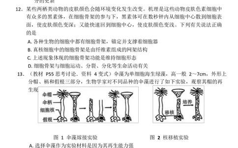 2024年秋期高中一年级期终质量评估生物试卷_2025年02月试卷_0221河南省南阳市2024-2025学年高一上学期1月期末考试_河南省南阳市2024-2025学年高一上学期1月期末考试生物Word版含答案