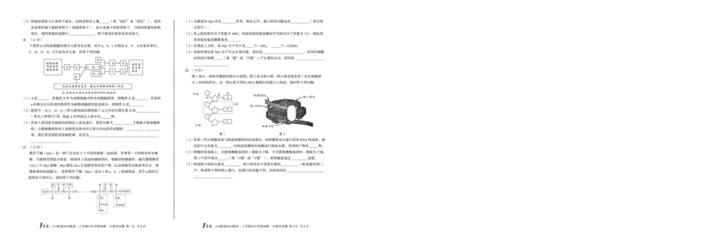 1号卷&middot;A10联盟2025级高一上学期10月学情诊断生物A_2025年10月高一试卷_251023安徽省1号卷&middot;A10联盟2025-2026学年高一上学期10月学情诊断（全）