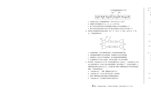 1号卷&middot;A10联盟2025级高一上学期10月学情诊断生物A_2025年10月高一试卷_251023安徽省1号卷&middot;A10联盟2025-2026学年高一上学期10月学情诊断（全）