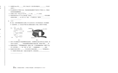 1号卷&middot;A10联盟2025级高一上学期10月学情诊断生物A_2025年10月高一试卷_251023安徽省1号卷&middot;A10联盟2025-2026学年高一上学期10月学情诊断（全）