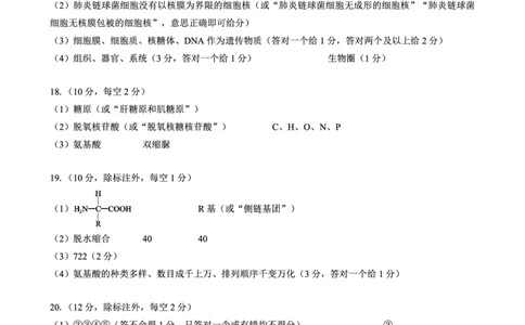 2024～2025学年度上期高中2024级期中考试生物学参考答案及评分标准_2024年11月试卷_1108四川省成都市蓉城名校联盟2024-2025学年高一上学期期中考