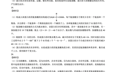 2024～2025学年度上期高中2024级期中考试生物学参考答案及评分标准_2024年11月试卷_1108四川省成都市蓉城名校联盟2024-2025学年高一上学期期中考