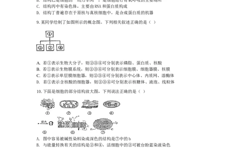2028届高一上期12月月考生物试题_2026年01月高一试卷_260111四川省眉山市仁寿第一中学校（北校区）2025-2026学年高一上学期12月月考