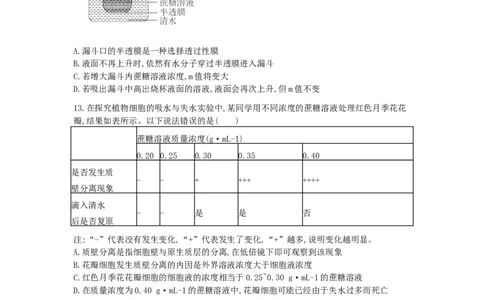 2028届高一上期12月月考生物试题_2026年01月高一试卷_260111四川省眉山市仁寿第一中学校（北校区）2025-2026学年高一上学期12月月考