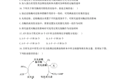 2028届高一上期12月月考生物试题_2026年01月高一试卷_260111四川省眉山市仁寿第一中学校（北校区）2025-2026学年高一上学期12月月考
