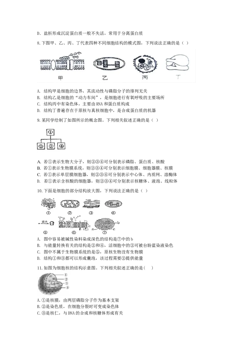 2028届高一上期12月月考生物试题_2026年01月高一试卷_260111四川省眉山市仁寿第一中学校（北校区）2025-2026学年高一上学期12月月考