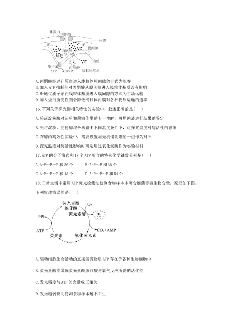 2028届高一上期12月月考生物试题_2026年01月高一试卷_260111四川省眉山市仁寿第一中学校（北校区）2025-2026学年高一上学期12月月考