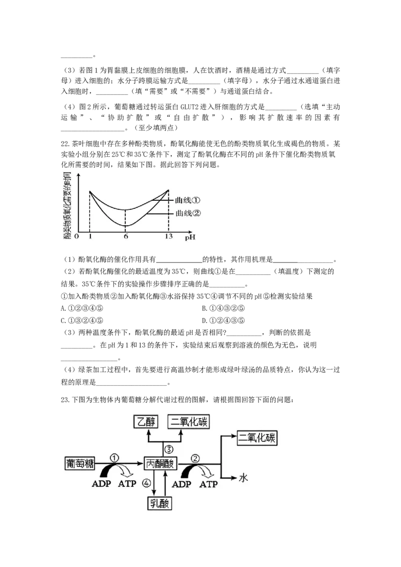 2028届高一上期12月月考生物试题_2026年01月高一试卷_260111四川省眉山市仁寿第一中学校（北校区）2025-2026学年高一上学期12月月考