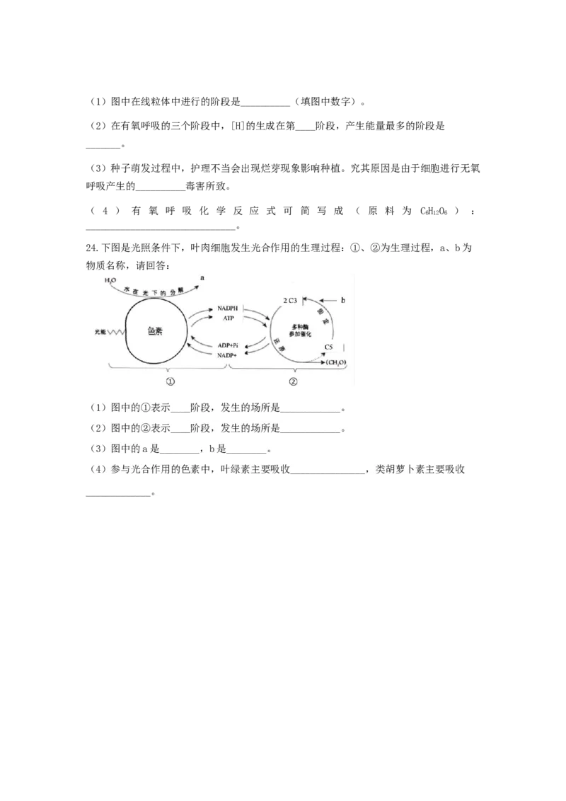 2028届高一上期12月月考生物试题_2026年01月高一试卷_260111四川省眉山市仁寿第一中学校（北校区）2025-2026学年高一上学期12月月考