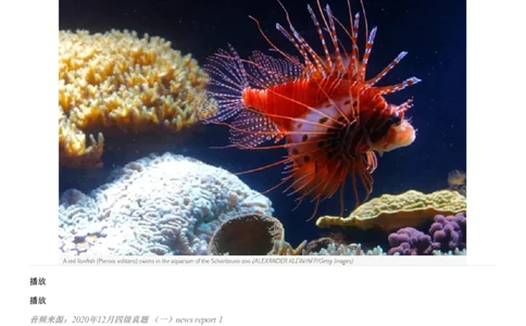 #5#--伴学图文_2026年6月其他机构_05.2026四级英语26年06月_05.2026四级英语有道老师_02活动赠课四六级听力基础包_02课程_02伴学_05[伴学]四级听力基础包5