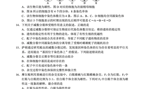 2024～2025学年度下期高中2024级期中考试生物学试题_2025年04月试卷_0426四川省成都市蓉城名校联盟2024-2025学年高一下学期期中考试