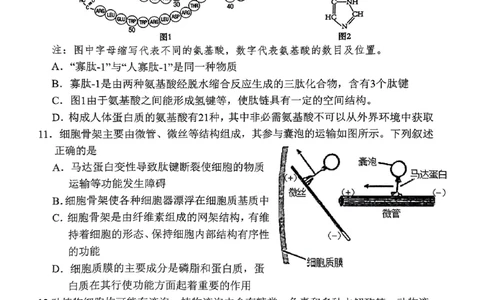 2024年湖北云学联盟高一12月联考生物试卷_2024年12月试卷_1225湖北省云学名校联盟2024-2025学年高一上学期12月联考_湖北省云学名校联盟2024-2025学年高一上学期12月联考生物试题PDF版含答案
