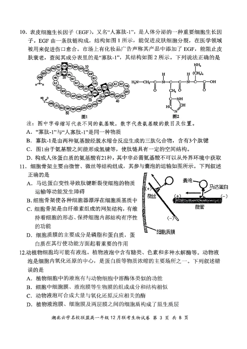 2024年湖北云学联盟高一12月联考生物试卷_2024年12月试卷_1225湖北省云学名校联盟2024-2025学年高一上学期12月联考_湖北省云学名校联盟2024-2025学年高一上学期12月联考生物试题PDF版含答案