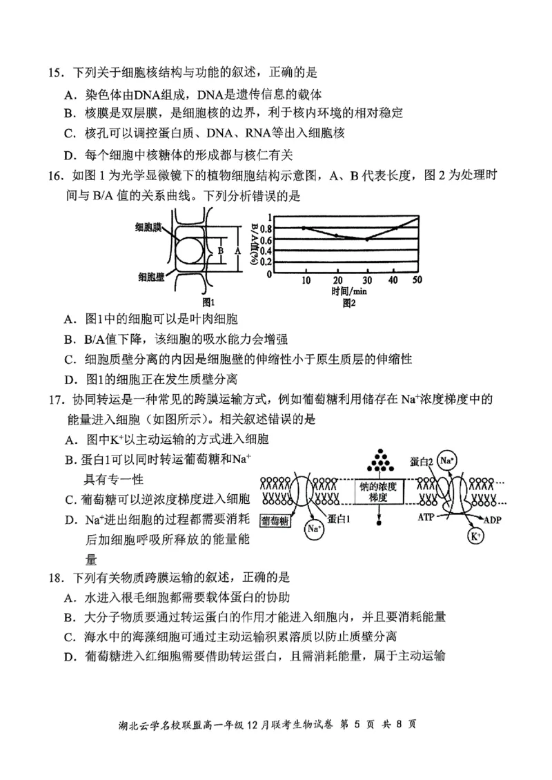 2024年湖北云学联盟高一12月联考生物试卷_2024年12月试卷_1225湖北省云学名校联盟2024-2025学年高一上学期12月联考_湖北省云学名校联盟2024-2025学年高一上学期12月联考生物试题PDF版含答案