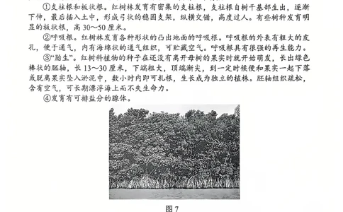2024级高一年级12月考地理_2025年01月试卷_0101湖北省武汉市问津教育联合体2024-2025学年高一上学期12月联考试题