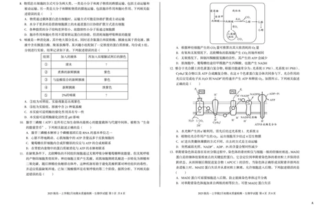 2025级高一上学期2月初期末质量检测生物A_2026年02月高一试卷_260214安徽省A10联盟2025级高一上学期2月初期末质量检测（全科）