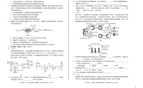 2025级高一上学期2月初期末质量检测生物A_2026年02月高一试卷_260214安徽省A10联盟2025级高一上学期2月初期末质量检测（全科）
