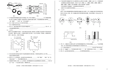 2025级高一上学期2月初期末质量检测生物A_2026年02月高一试卷_260214安徽省A10联盟2025级高一上学期2月初期末质量检测（全科）