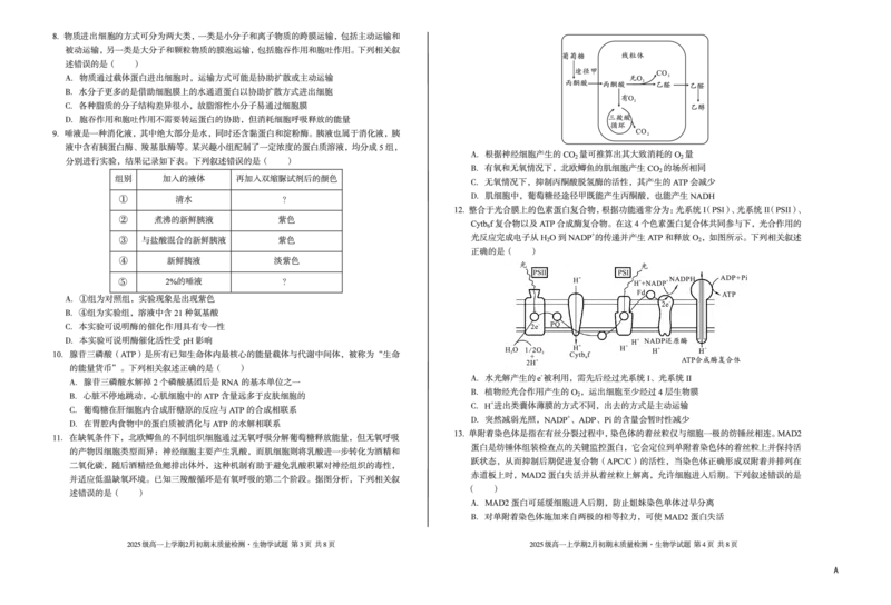 2025级高一上学期2月初期末质量检测生物A_2026年02月高一试卷_260214安徽省A10联盟2025级高一上学期2月初期末质量检测（全科）