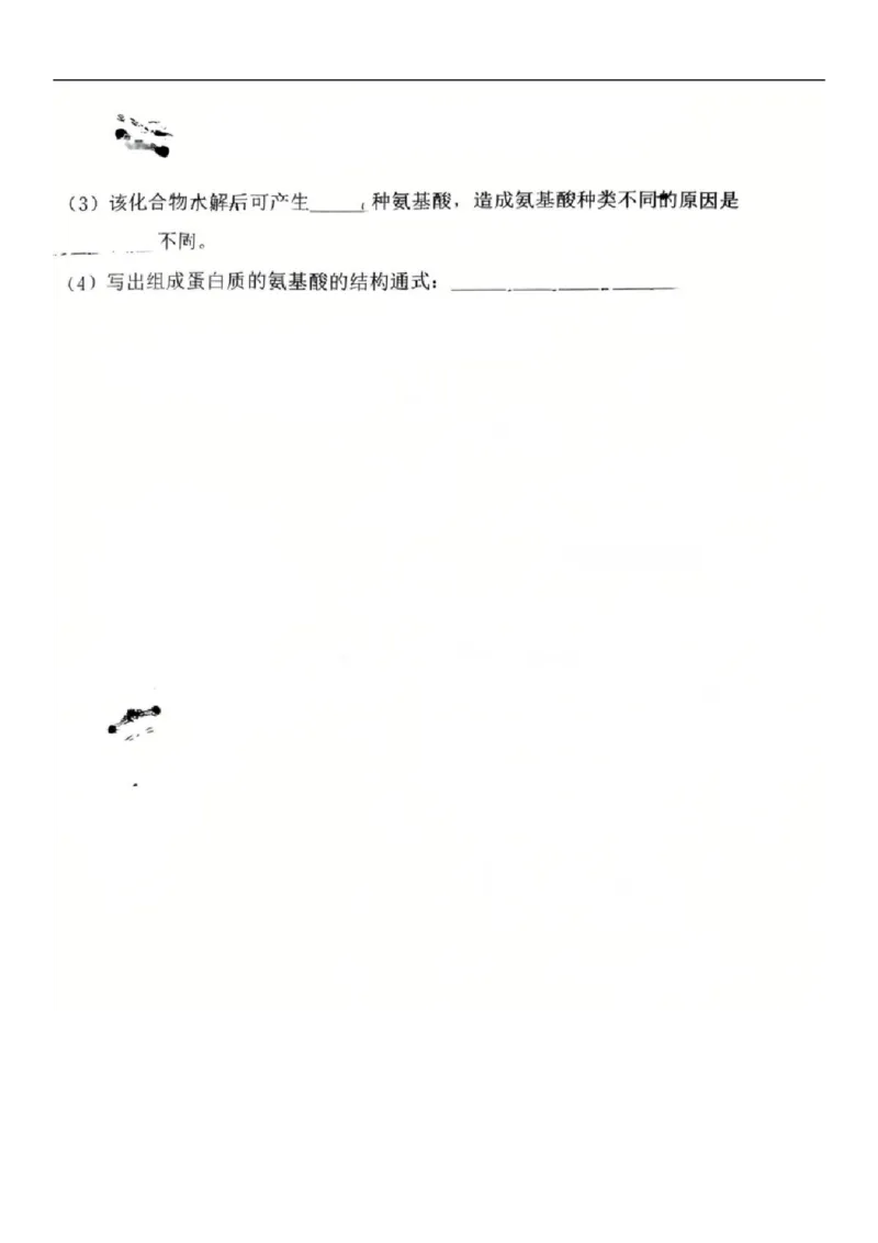 2025-2026学年度（上）七校协作体高一联考生物试题_2025年10月高一试卷_251014辽宁省七校协作体2025-2026学年高一上学期10月联考（全）