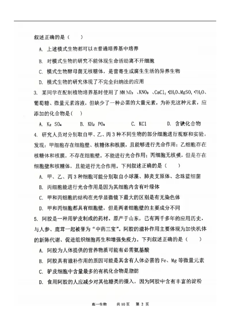 2025-2026学年度（上）七校协作体高一联考生物试题_2025年10月高一试卷_251014辽宁省七校协作体2025-2026学年高一上学期10月联考（全）