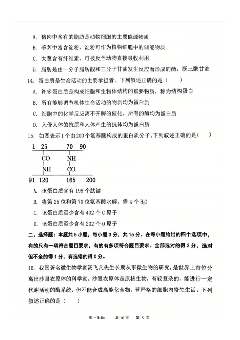 2025-2026学年度（上）七校协作体高一联考生物试题_2025年10月高一试卷_251014辽宁省七校协作体2025-2026学年高一上学期10月联考（全）