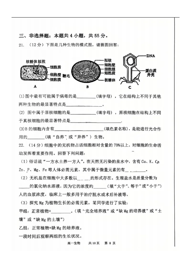 2025-2026学年度（上）七校协作体高一联考生物试题_2025年10月高一试卷_251014辽宁省七校协作体2025-2026学年高一上学期10月联考（全）