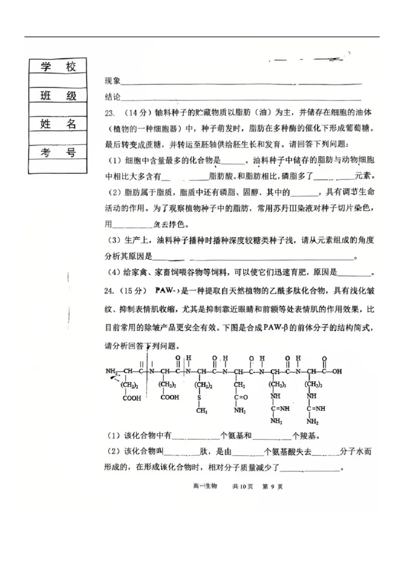 2025-2026学年度（上）七校协作体高一联考生物试题_2025年10月高一试卷_251014辽宁省七校协作体2025-2026学年高一上学期10月联考（全）