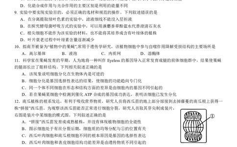 2024级高一下月考生物试题_2025年04月试卷_0406重庆市万州二中2024-2025学年高一下学期3月月考试题_重庆市万州二中2024-2025学年高一下学期3月月考试题生物PDF版含答案（可编辑）