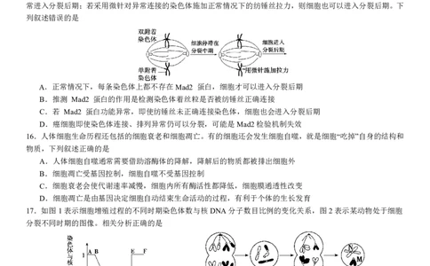 2024级高一下月考生物试题_2025年04月试卷_0406重庆市万州二中2024-2025学年高一下学期3月月考试题_重庆市万州二中2024-2025学年高一下学期3月月考试题生物PDF版含答案（可编辑）