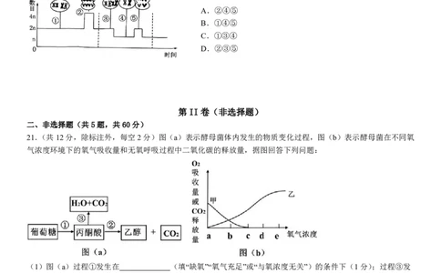 2024级高一下月考生物试题_2025年04月试卷_0406重庆市万州二中2024-2025学年高一下学期3月月考试题_重庆市万州二中2024-2025学年高一下学期3月月考试题生物PDF版含答案（可编辑）
