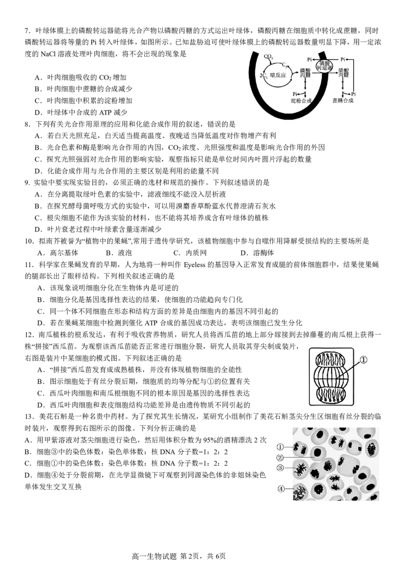 2024级高一下月考生物试题_2025年04月试卷_0406重庆市万州二中2024-2025学年高一下学期3月月考试题_重庆市万州二中2024-2025学年高一下学期3月月考试题生物PDF版含答案（可编辑）