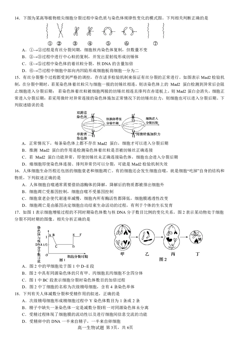 2024级高一下月考生物试题_2025年04月试卷_0406重庆市万州二中2024-2025学年高一下学期3月月考试题_重庆市万州二中2024-2025学年高一下学期3月月考试题生物PDF版含答案（可编辑）