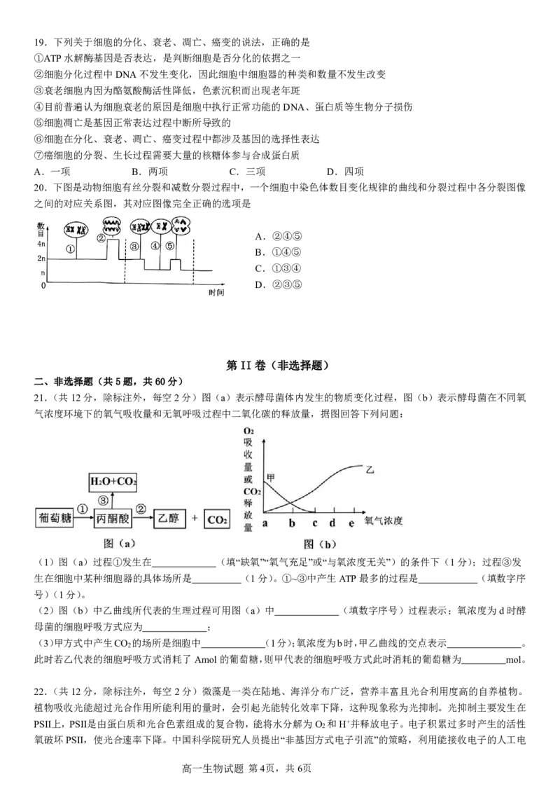 2024级高一下月考生物试题_2025年04月试卷_0406重庆市万州二中2024-2025学年高一下学期3月月考试题_重庆市万州二中2024-2025学年高一下学期3月月考试题生物PDF版含答案（可编辑）