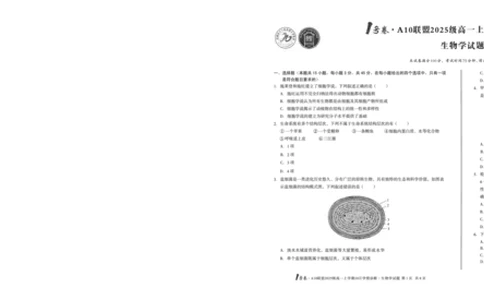 1号卷&middot;A10联盟2025级高一上学期10月学情诊断生物B_2025年10月高一试卷_251023安徽省1号卷&middot;A10联盟2025-2026学年高一上学期10月学情诊断（全）