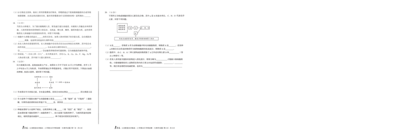 1号卷&middot;A10联盟2025级高一上学期10月学情诊断生物B_2025年10月高一试卷_251023安徽省1号卷&middot;A10联盟2025-2026学年高一上学期10月学情诊断（全）