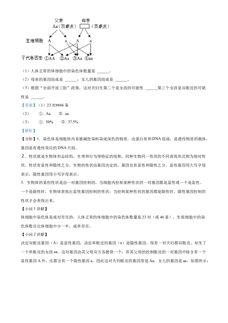 06八年级下学期期中生物试题（解析版）_初中全科电子版试卷练习试题_生物_生物8下练习_人教生物8年级下期中试卷10份