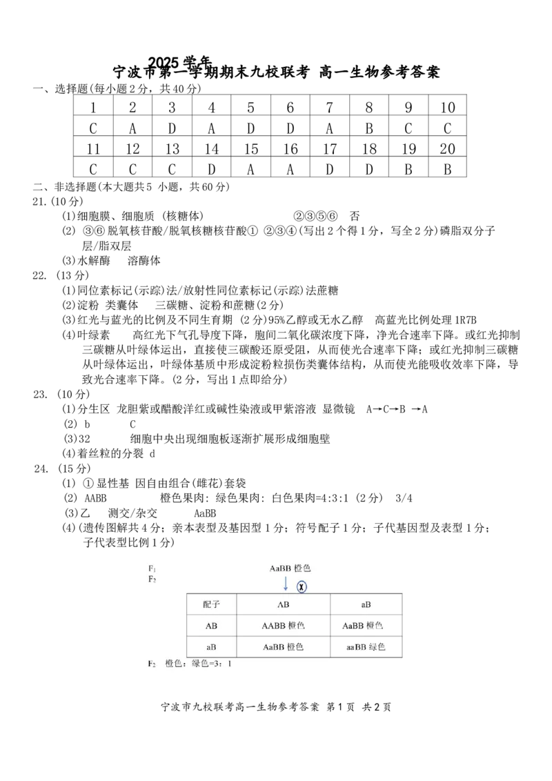 2601+宁波九校联考高一生物答案_2026年02月高一试卷_260213浙江省宁波市九校2025-2026学年高一上学期期末联考（全）_浙江省宁波市九校2025-2026学年高一上学期期末联考生物试卷（含答案）
