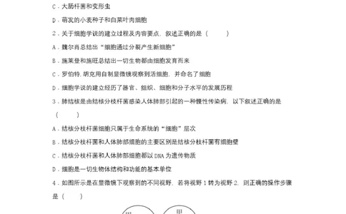 2025级高一生物试卷（印刷版）_2025年10月高一试卷_251027湖北省武汉市部分重点中学2025-2026学年高一上学期10月月考试题（全）